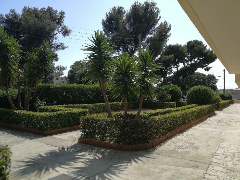 Appartement 2 Pieces Avec Balcon Toulon Ngoại thất bức ảnh